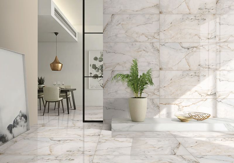 Calacatta Gold Venato Polished