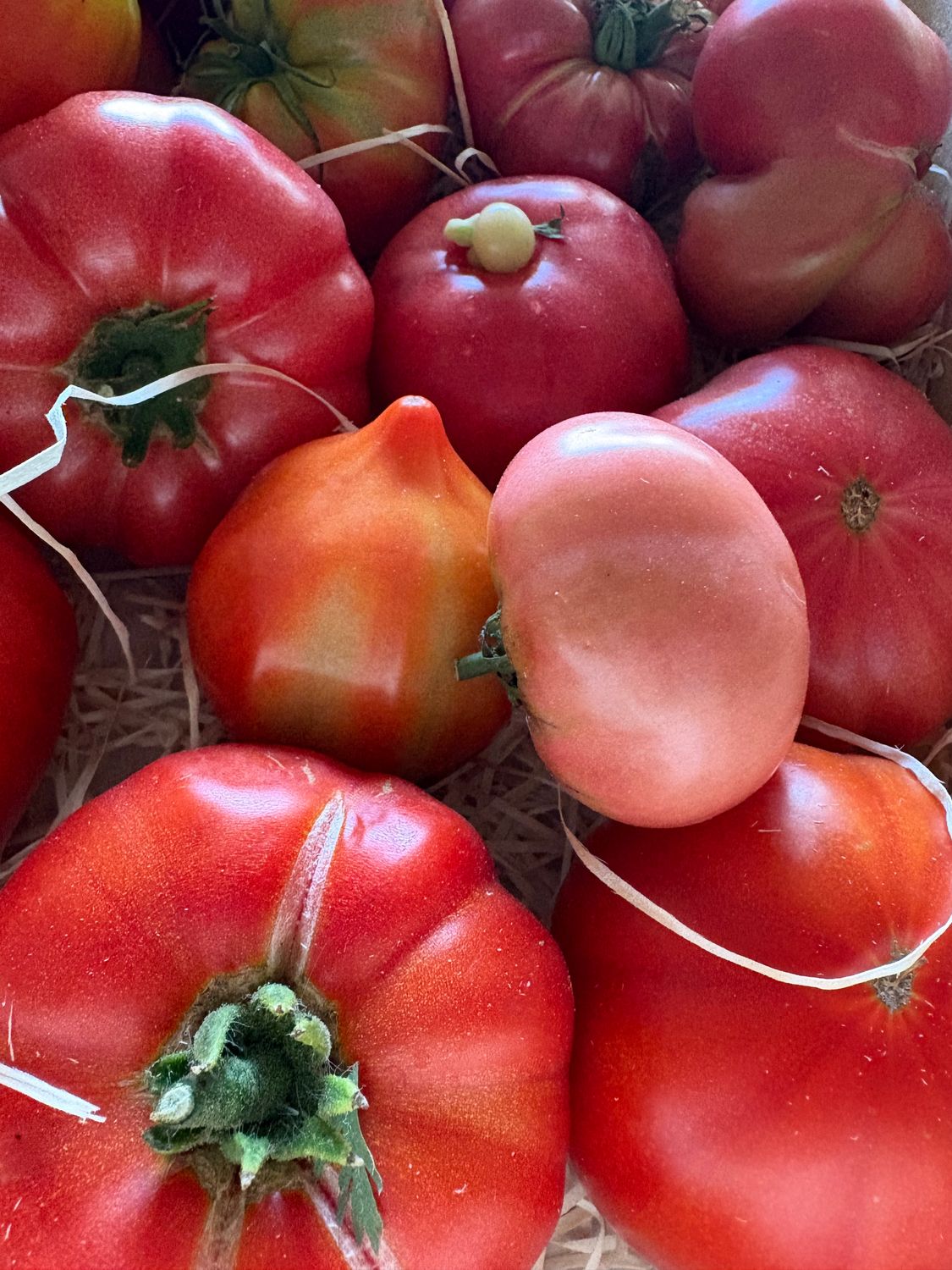 Le Panier de la semaine !