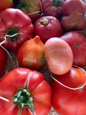 Le Panier de la semaine !