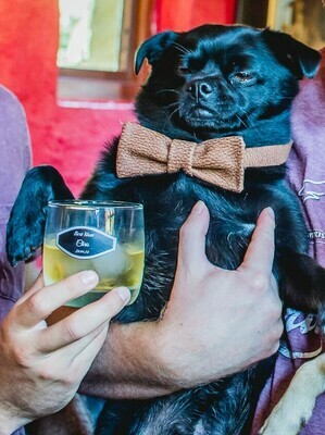 Dog Leather Bow Tie