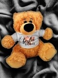 Personalised Friendship Teddy