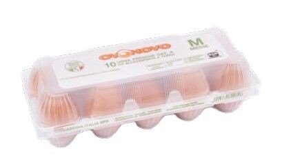 Uova allevate a terra medie in plastica (20x10u)
