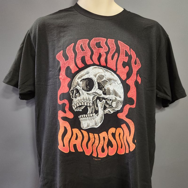 ​Harley Davidson Men&#39;s Dealer T-Shirt - &#39;Drizzle&#39;