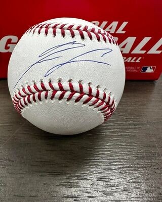 Oswaldo Cabrera Autographed New York Custom Gray Baseball Jersey - BAS