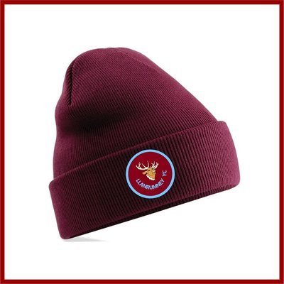Llanrumney YC -  Beanie