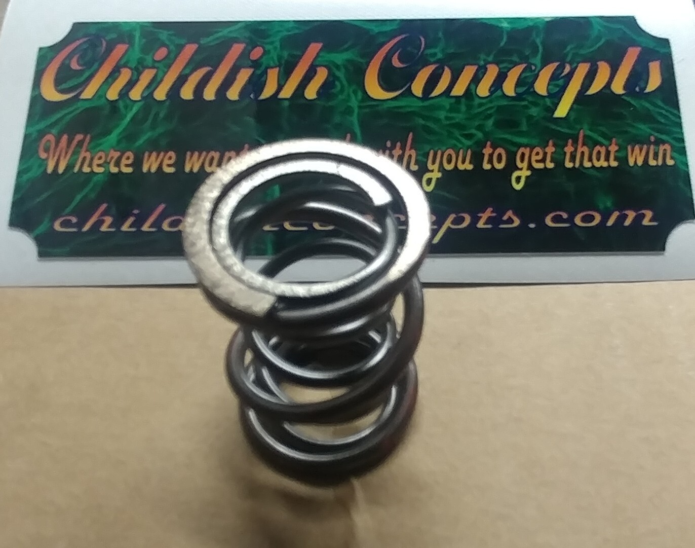 60 pound dual spring
