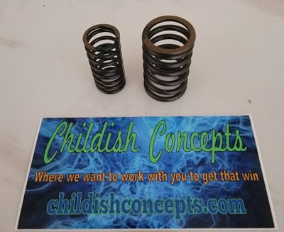 30 Pound Narrow Dual Spring
