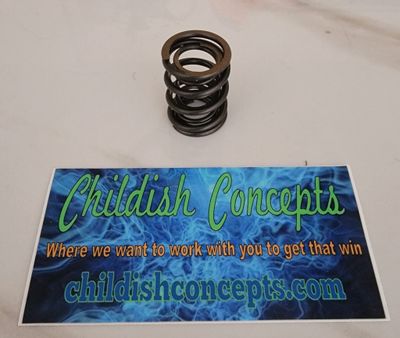 40 Pound Narrow Dual Spring