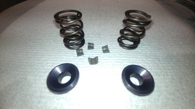 32 Pound Dual Valve Spring Kit (5.5mm)
