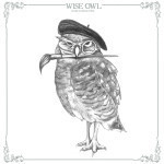 Wise Owl Chalk Synthesis Paints