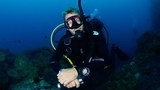 PADI Advanced Open Water to Divemaster - Standard Package - 54,270 THB