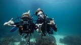 PADI Advanced Open Water to Rescue Diver Package - 24,220 THB