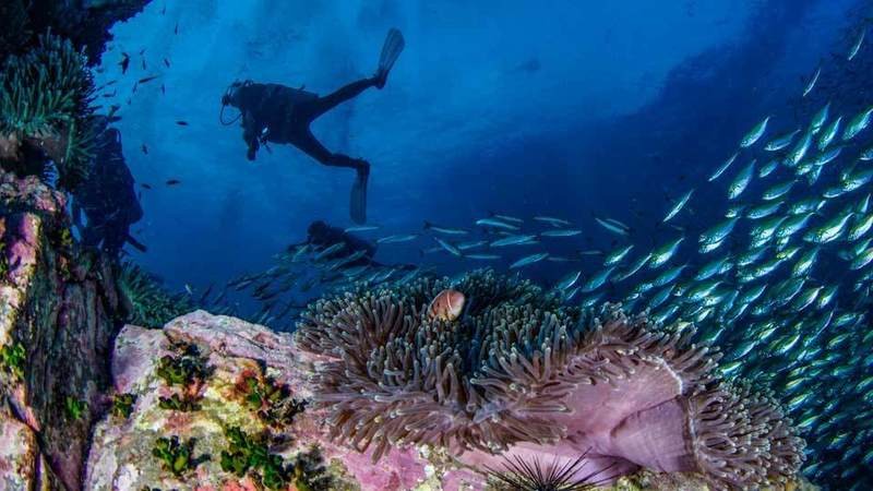 PADI Adventure Diver - From 7,500 THB