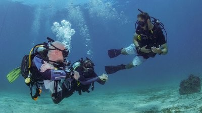 PADI Open Water Diver to Divemaster - Standard Package - 66,300 THB