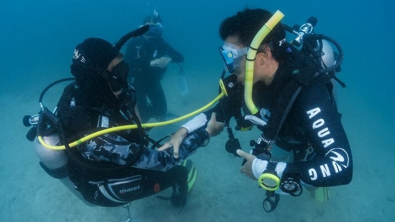 Scuba Review