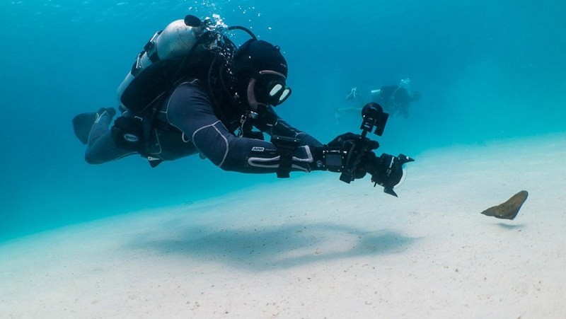 PADI Underwater Videographer