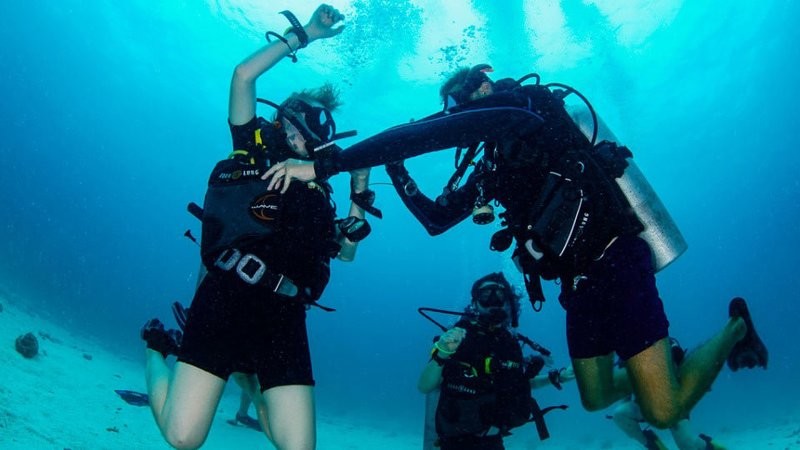 PADI Divemaster Internship