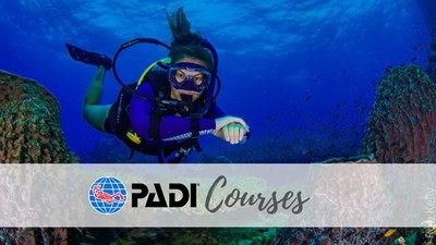 PADI Courses