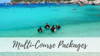 Multi-Course Packages