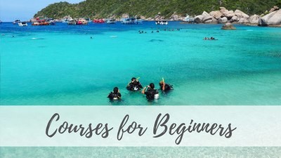 Courses for Beginners