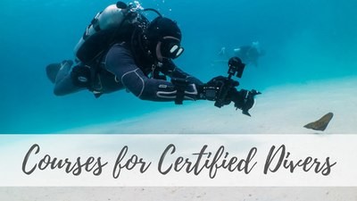 Courses for Certified Divers