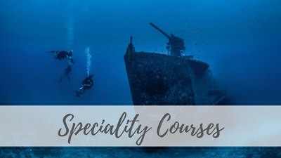 Speciality Courses