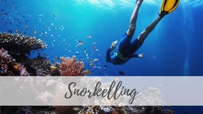 Snorkelling