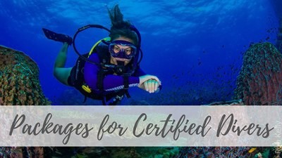 Packages for Certified Divers