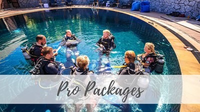 Pro Packages