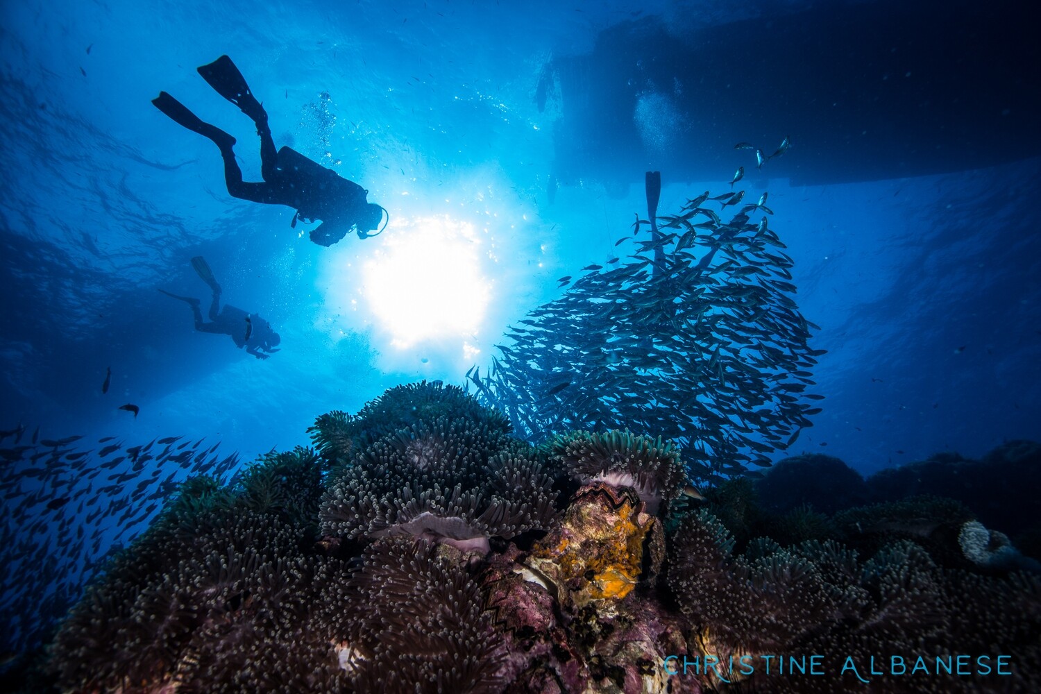 PADI Advanced Open Water Diver