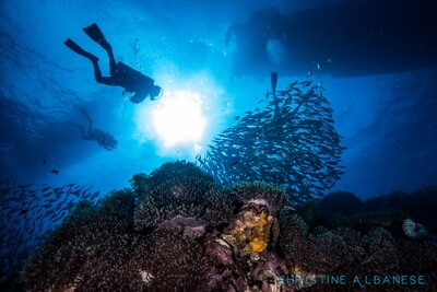 PADI Advanced Open Water Diver