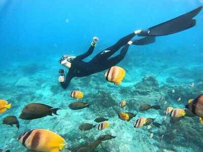 Intro to Freediving Intro to Freediving