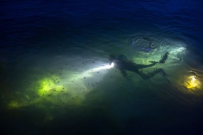 PADI Night Diver