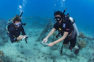 Discover marine conservation