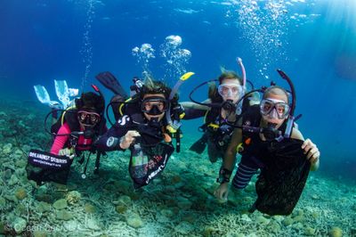 Beginner Conservation Course Beginner Conservation Course