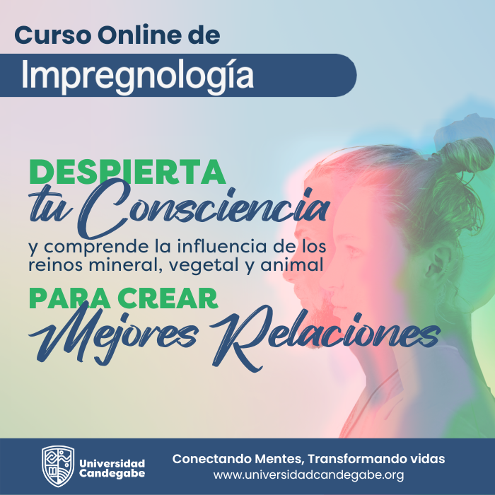Curso Online de Consejero en Impregnología- Nivel 2