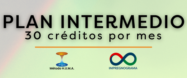 Plan Intermedio
