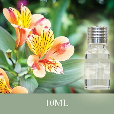 Fragrance Enhancer 10ml