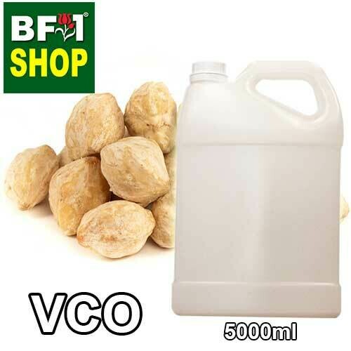 VCO - Kukui Nut Virgin Carrier Oil - 5000ml