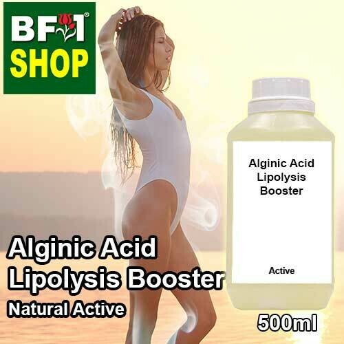 Active - Alginic Acid Lipolysis Booster Active - 500ml