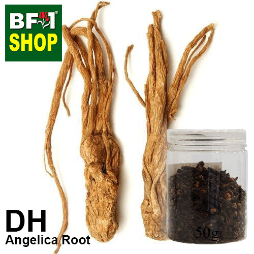 Dry Herbal - Angelica Root - 50g