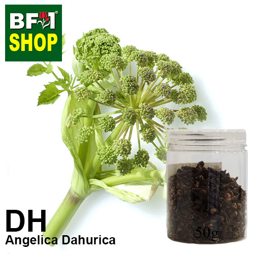 Dry Herbal - Angelica Dahurica - 50g