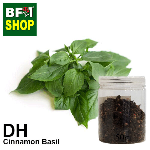 Dry Herbal - Basil - Cinnamon Basil ( Thai Basil ) - 50g