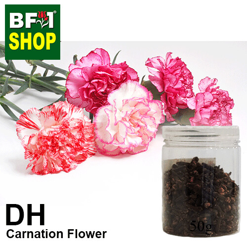 Dry Herbal - Carnation Flower - 50g