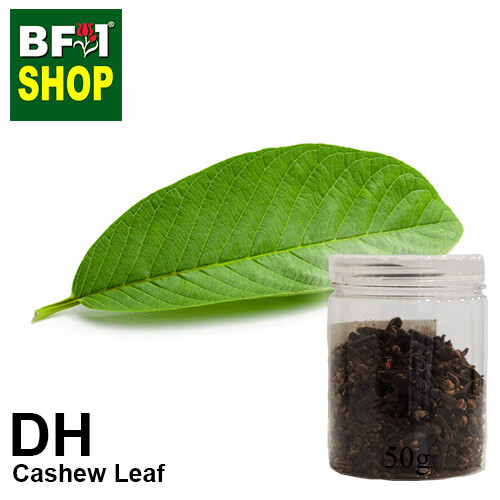 Dry Herbal - Cashew Leaf ( Anacardium Occidentale ) - 50g