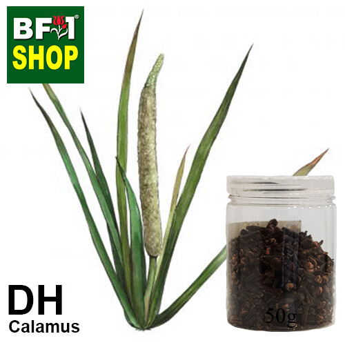 Dry Herbal - Calamus - 50g