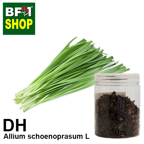 Dry Herbal - Chive ( Allium schoenoprasum L ) - 50g
