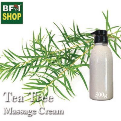 Massage Cream 500g