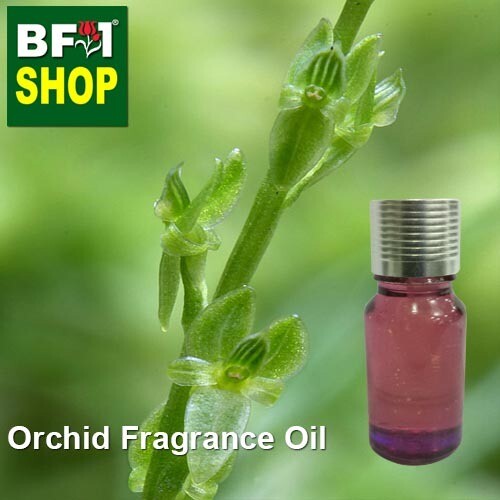 Orchid Fragrance Oil-Adder&#39;s-mouth [Bog] &gt; Malaxis paludosa-10ml