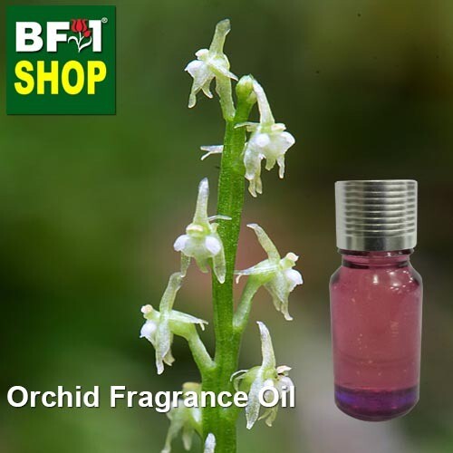 Orchid Fragrance Oil-Adder's-mouth [Narrow] > Malaxis monophyllos var. brachypoda-10ml